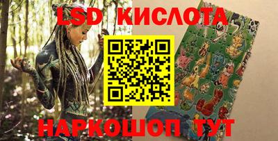 молекула духа Партизанск