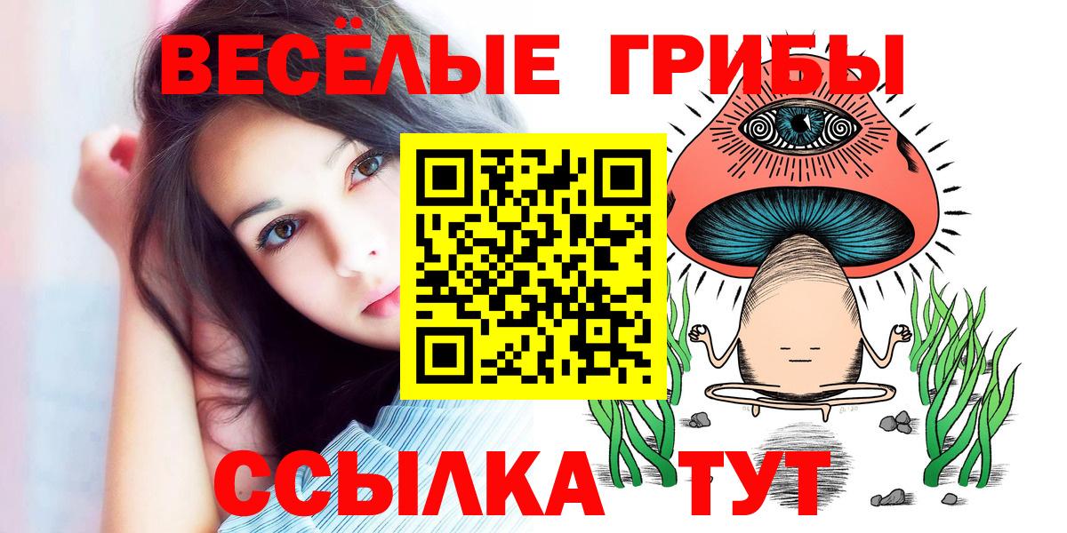 цена наркотик  Вход с VPN  Рузаевка  Галлюциногенные грибы прущие грибы 